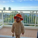 돌다리몰 | 4월 캔싱턴리조트 서귀포 장모님 24개월 8개월 아기들과 3박 4일 동안 숙박한 후기(사이트 별 가격 비교)