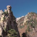 주식회사 세인 이미지