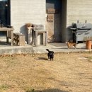 아띠하우스-3 이미지