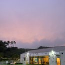 포레스트테일 | [용인 대형카페] 반려견 동반 :: 더포레스트테일 후기