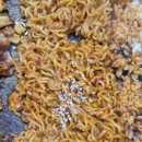 유가네닭갈비 만덕점 이미지