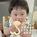 키즈마일 퍼기 아기 과즙망 첫 과일 경험과 이앓이에 딱