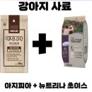 초이스쉼터 이미지