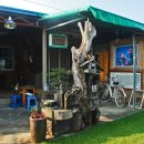 무궁화농원 이미지