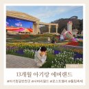 처인 견인차량 보관소 | 13개월 아기랑 에버랜드 플랜잇3 사파리월드 로스트밸리 회전목마 이용 꿀팁