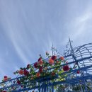 도심 속 작은 무대 | [공지] 서울국제정원박람회 후기 도심 속 작은 숲, 정원에서 찾은 쉼표