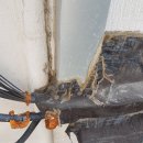 명성학원 이미지