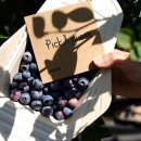 햇살그린농장 이미지