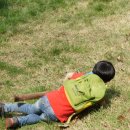 온숲어린이집 이미지