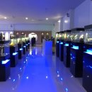 제주궁전 이미지