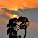 노송주유소 이미지