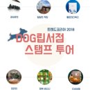 베로니카이펙트