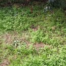 지성농장 이미지