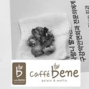 솔치과의원 이미지