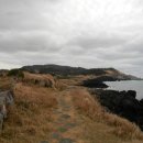 무릉리방사탑 2호 이미지