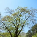 서하체육공원 이미지