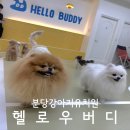 헬로우버디 분당점 이미지