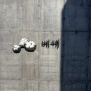 효돈로 | [제주 카페] 자연친화 식물원 베케 도슨트 후기 | 산방산 탄산온천