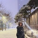 트래블메이트 스탠다드 라이트 폴딩 보스턴백 여행용 가방 후기