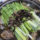 참일능이버섯백숙 - 광양시 발섬길 30 | 참일능이버섯백숙