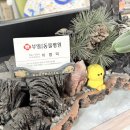 부일동물병원 이미지