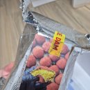 바이담 | 쿠키담 두바이쫀득쿠키 택배 맛집 | 두켓팅 두쫀쿠 내돈내산후기
