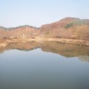 가정1리 이미지