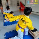 품 태권도 이미지