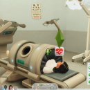 대심농장 이미지