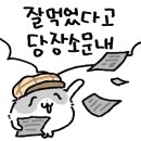 통큰아이스크림할인점 이미지