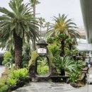 썬카서비스 이미지