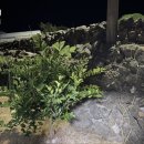 정이드는집 이미지