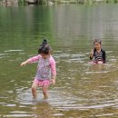 느티나무가든 이미지