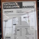 핫 독 | 성남애견카페 라드독, 대형애견운동장까지?! 반려견과 다녀온 찐후기