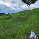 광천읍 월곡마을회관 이미지