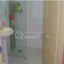 동연아미가 이미지