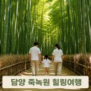 담양 가볼만한곳 죽녹원 입장료 주차장 대나무숲 후기