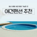 연희재 애견펜션 | 후기 좋은 양산 애견펜션 TOP3 (대형견 가능 · 수영장 포함)