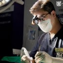 성신치과기공소 이미지