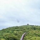 지리산 노고단 등산 코스 &amp; 예약 방법｜성삼재휴게소 출발 우중산행 후기