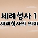 가톨릭 영상 교리 17 - 세례성사1(세례성사의 의미) 이미지