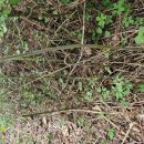 금당목장 이미지