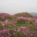 겸백면사무소 이미지