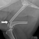 도하동물병원 이미지