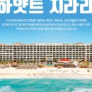 G4113 이미지