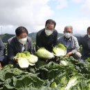 강릉원예농협 이미지