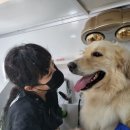 씻고올개 이미지