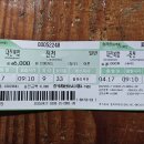 [진천] 농다리, 하늘다리, 미르309 출렁다리. 이미지