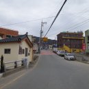금성1리경로당 티스토리