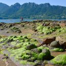 하도 해변 이미지